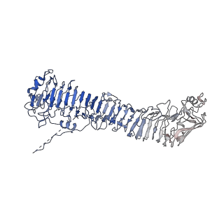 0544_6nyj_F_v1-3
Helicobacter pylori Vacuolating Cytotoxin A Oligomeric Assembly 2b (OA-2b)