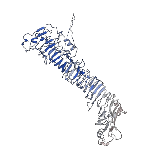 0544_6nyj_G_v1-3
Helicobacter pylori Vacuolating Cytotoxin A Oligomeric Assembly 2b (OA-2b)
