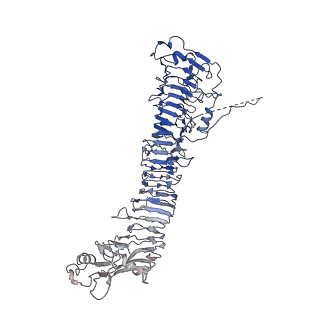 0544_6nyj_H_v1-3
Helicobacter pylori Vacuolating Cytotoxin A Oligomeric Assembly 2b (OA-2b)