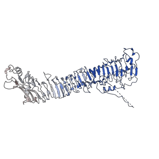 0544_6nyj_I_v1-3
Helicobacter pylori Vacuolating Cytotoxin A Oligomeric Assembly 2b (OA-2b)