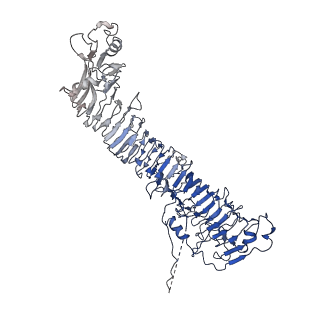 0544_6nyj_J_v1-3
Helicobacter pylori Vacuolating Cytotoxin A Oligomeric Assembly 2b (OA-2b)
