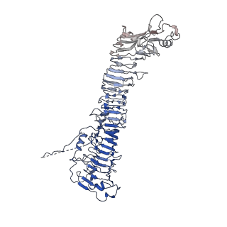 0544_6nyj_K_v1-3
Helicobacter pylori Vacuolating Cytotoxin A Oligomeric Assembly 2b (OA-2b)