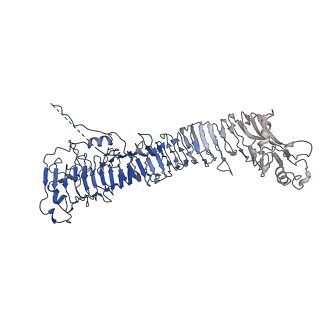 0544_6nyj_L_v1-3
Helicobacter pylori Vacuolating Cytotoxin A Oligomeric Assembly 2b (OA-2b)