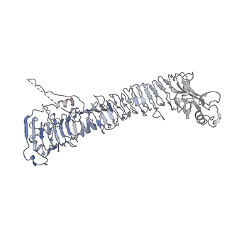 0545_6nyl_A_v1-3
Helicobacter pylori Vacuolating Cytotoxin A Oligomeric Assembly 2c (OA-2c)