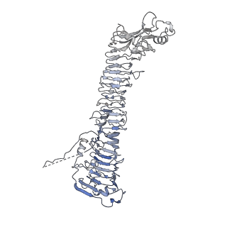 0545_6nyl_B_v1-3
Helicobacter pylori Vacuolating Cytotoxin A Oligomeric Assembly 2c (OA-2c)