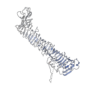 0545_6nyl_C_v1-3
Helicobacter pylori Vacuolating Cytotoxin A Oligomeric Assembly 2c (OA-2c)
