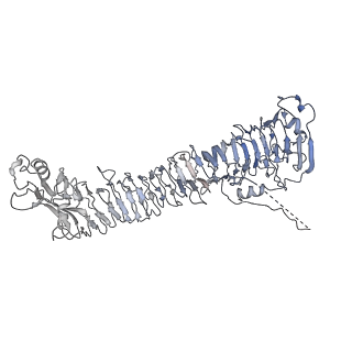 0545_6nyl_D_v1-3
Helicobacter pylori Vacuolating Cytotoxin A Oligomeric Assembly 2c (OA-2c)