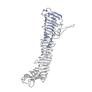 0545_6nyl_E_v1-3
Helicobacter pylori Vacuolating Cytotoxin A Oligomeric Assembly 2c (OA-2c)
