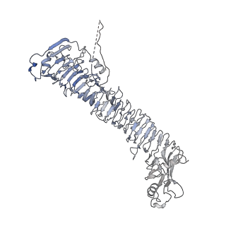 0545_6nyl_F_v1-3
Helicobacter pylori Vacuolating Cytotoxin A Oligomeric Assembly 2c (OA-2c)
