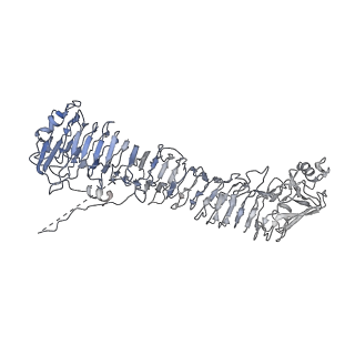 0545_6nyl_G_v1-3
Helicobacter pylori Vacuolating Cytotoxin A Oligomeric Assembly 2c (OA-2c)