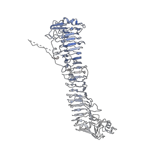0545_6nyl_H_v1-3
Helicobacter pylori Vacuolating Cytotoxin A Oligomeric Assembly 2c (OA-2c)