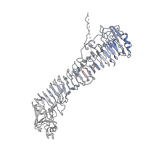 0545_6nyl_I_v1-3
Helicobacter pylori Vacuolating Cytotoxin A Oligomeric Assembly 2c (OA-2c)