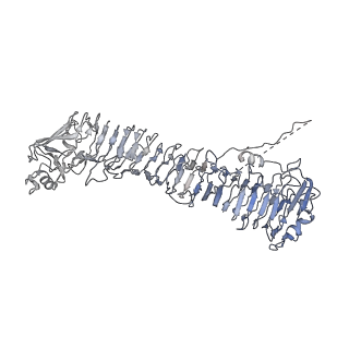 0545_6nyl_J_v1-3
Helicobacter pylori Vacuolating Cytotoxin A Oligomeric Assembly 2c (OA-2c)