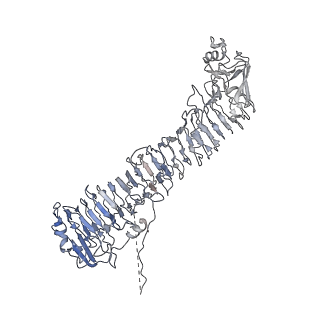 0545_6nyl_L_v1-3
Helicobacter pylori Vacuolating Cytotoxin A Oligomeric Assembly 2c (OA-2c)