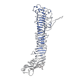 0546_6nym_A_v1-3
Helicobacter pylori Vacuolating Cytotoxin A Oligomeric Assembly 2d (OA-2d)