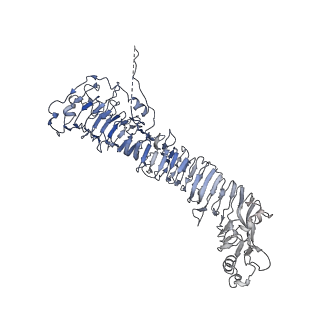 0546_6nym_B_v1-3
Helicobacter pylori Vacuolating Cytotoxin A Oligomeric Assembly 2d (OA-2d)
