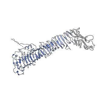 0546_6nym_C_v1-3
Helicobacter pylori Vacuolating Cytotoxin A Oligomeric Assembly 2d (OA-2d)