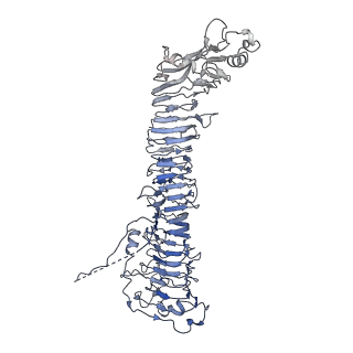 0546_6nym_D_v1-3
Helicobacter pylori Vacuolating Cytotoxin A Oligomeric Assembly 2d (OA-2d)