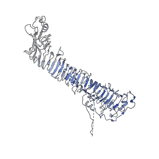 0546_6nym_E_v1-3
Helicobacter pylori Vacuolating Cytotoxin A Oligomeric Assembly 2d (OA-2d)