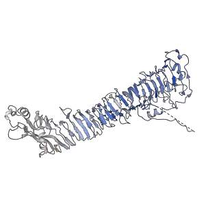 0546_6nym_F_v1-3
Helicobacter pylori Vacuolating Cytotoxin A Oligomeric Assembly 2d (OA-2d)