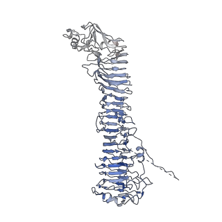 0546_6nym_G_v1-3
Helicobacter pylori Vacuolating Cytotoxin A Oligomeric Assembly 2d (OA-2d)