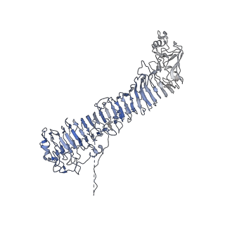 0546_6nym_H_v1-3
Helicobacter pylori Vacuolating Cytotoxin A Oligomeric Assembly 2d (OA-2d)