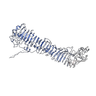 0546_6nym_I_v1-3
Helicobacter pylori Vacuolating Cytotoxin A Oligomeric Assembly 2d (OA-2d)