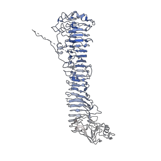 0546_6nym_J_v1-3
Helicobacter pylori Vacuolating Cytotoxin A Oligomeric Assembly 2d (OA-2d)