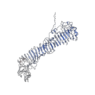 0546_6nym_K_v1-3
Helicobacter pylori Vacuolating Cytotoxin A Oligomeric Assembly 2d (OA-2d)