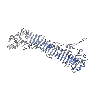 0546_6nym_L_v1-3
Helicobacter pylori Vacuolating Cytotoxin A Oligomeric Assembly 2d (OA-2d)