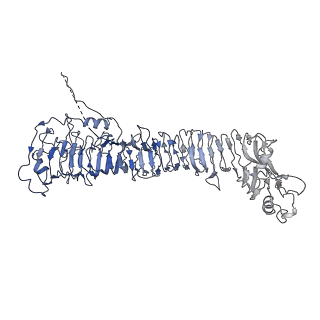 0547_6nyn_A_v1-3
Helicobacter pylori Vacuolating Cytotoxin A Oligomeric Assembly 2e (OA-2e)