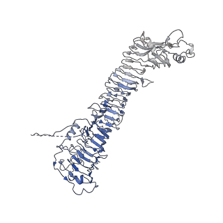 0547_6nyn_B_v1-3
Helicobacter pylori Vacuolating Cytotoxin A Oligomeric Assembly 2e (OA-2e)