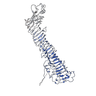 0547_6nyn_C_v1-3
Helicobacter pylori Vacuolating Cytotoxin A Oligomeric Assembly 2e (OA-2e)