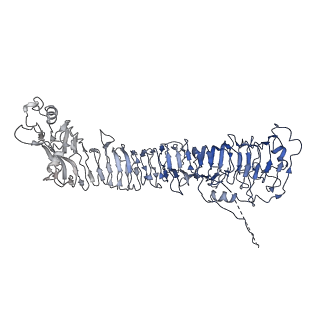 0547_6nyn_D_v1-3
Helicobacter pylori Vacuolating Cytotoxin A Oligomeric Assembly 2e (OA-2e)