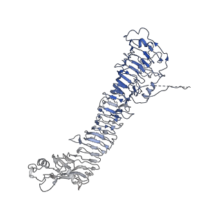 0547_6nyn_E_v1-3
Helicobacter pylori Vacuolating Cytotoxin A Oligomeric Assembly 2e (OA-2e)