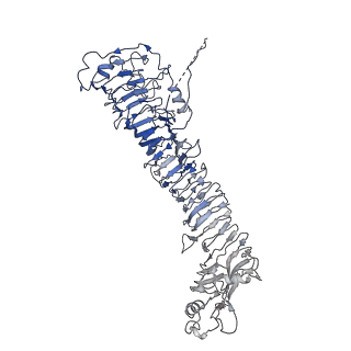 0547_6nyn_F_v1-3
Helicobacter pylori Vacuolating Cytotoxin A Oligomeric Assembly 2e (OA-2e)