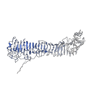 0547_6nyn_G_v1-3
Helicobacter pylori Vacuolating Cytotoxin A Oligomeric Assembly 2e (OA-2e)