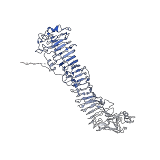 0547_6nyn_H_v1-3
Helicobacter pylori Vacuolating Cytotoxin A Oligomeric Assembly 2e (OA-2e)