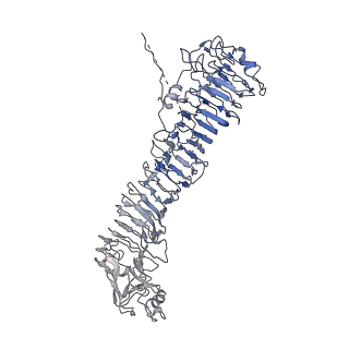 0547_6nyn_I_v1-3
Helicobacter pylori Vacuolating Cytotoxin A Oligomeric Assembly 2e (OA-2e)