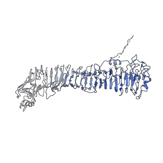 0547_6nyn_J_v1-3
Helicobacter pylori Vacuolating Cytotoxin A Oligomeric Assembly 2e (OA-2e)