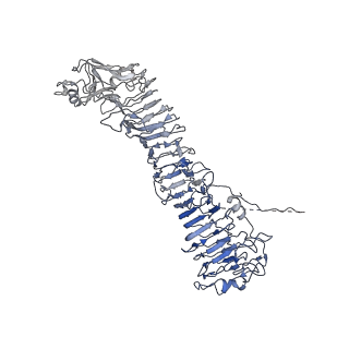 0547_6nyn_K_v1-3
Helicobacter pylori Vacuolating Cytotoxin A Oligomeric Assembly 2e (OA-2e)