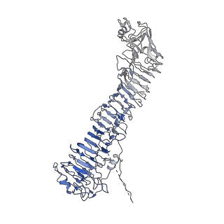 0547_6nyn_L_v1-3
Helicobacter pylori Vacuolating Cytotoxin A Oligomeric Assembly 2e (OA-2e)