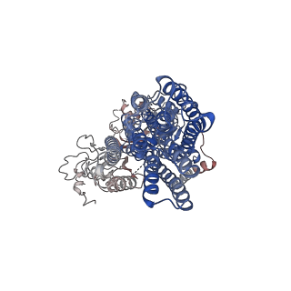 12644_7ny1_A_v1-1
Structure of the fungal plasma membrane proton pump Pma1 in its auto-inhibited state - hexameric assembly