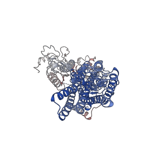 12644_7ny1_B_v1-1
Structure of the fungal plasma membrane proton pump Pma1 in its auto-inhibited state - hexameric assembly