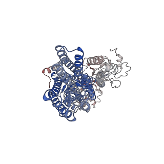 12644_7ny1_D_v1-1
Structure of the fungal plasma membrane proton pump Pma1 in its auto-inhibited state - hexameric assembly