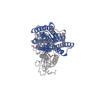 12644_7ny1_F_v1-1
Structure of the fungal plasma membrane proton pump Pma1 in its auto-inhibited state - hexameric assembly