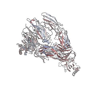 12650_7nyc_A_v1-1
cryoEM structure of 3C9-sMAC