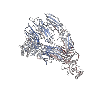 12651_7nyd_A_v1-1
cryoEM structure of 2C9-sMAC