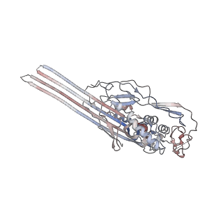 12651_7nyd_E_v1-1
cryoEM structure of 2C9-sMAC