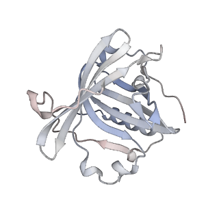 12651_7nyd_F_v1-1
cryoEM structure of 2C9-sMAC